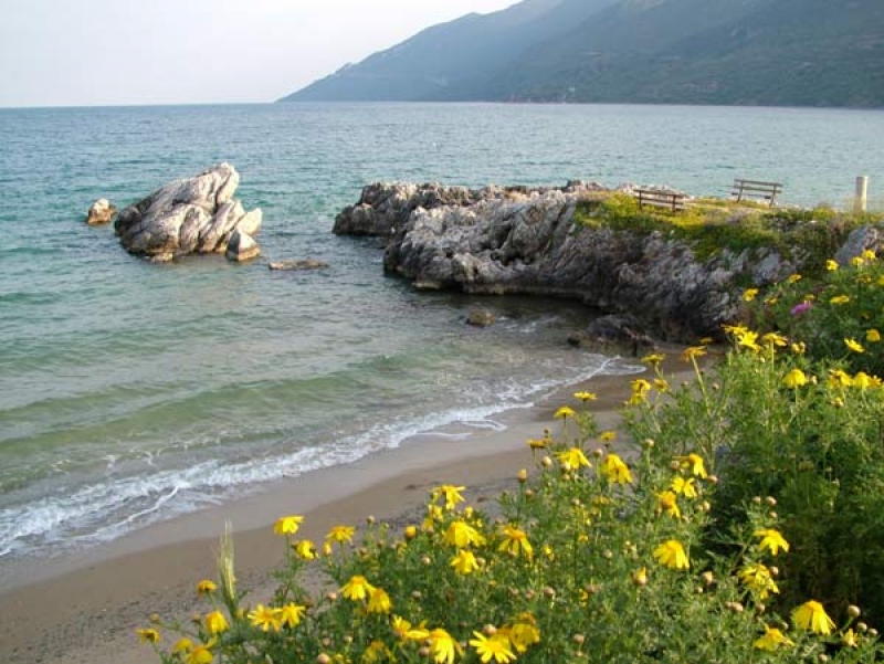 Beaches